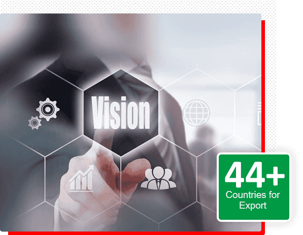 Vision - Our Strategic Vision, Statement, Organizational Goals, and Future Outlook